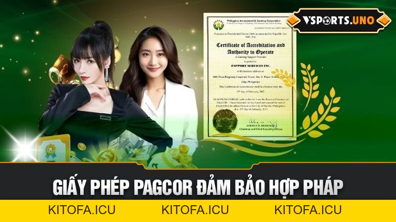 Nhà cái Vsports có uy tín không? Phân tích chi tiết từ pháp lý đến trải nghiệm người dùng 2026
